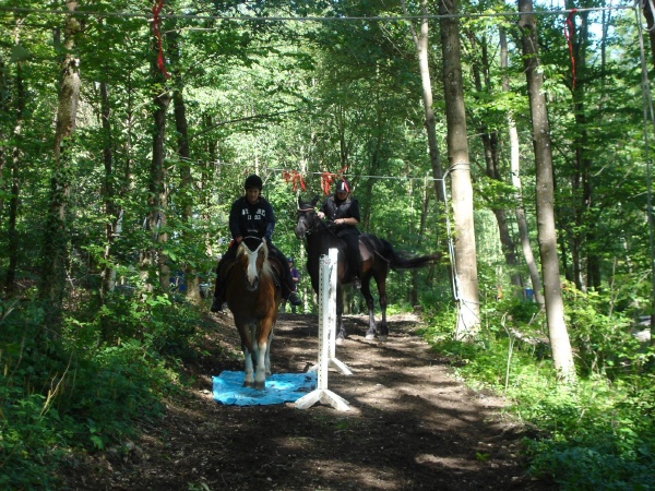 DSC06510 - HOMEPAGE.JPG